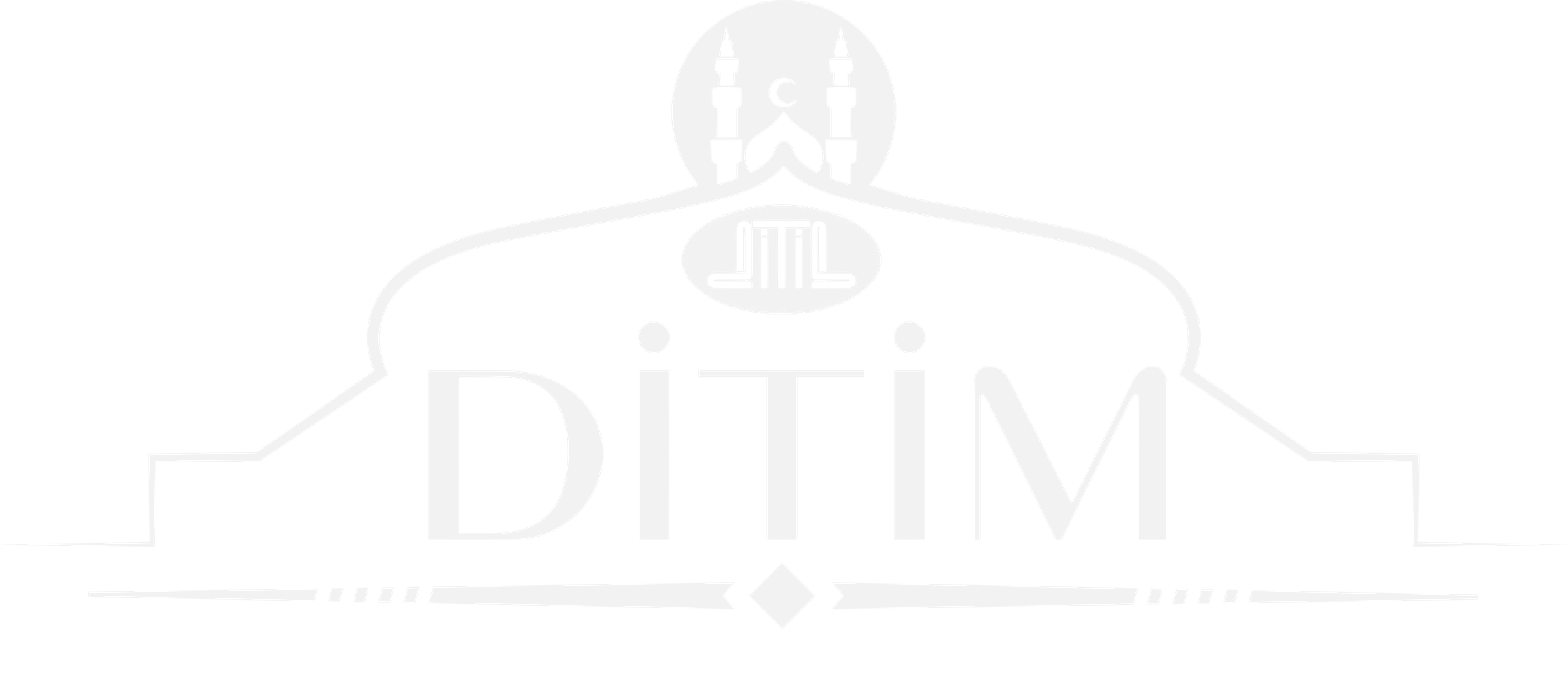 DITIM Logo
